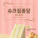 홍루이젠 더쎈뉴스