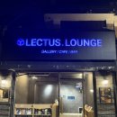 스터디라운지 | 홍대 대형 북카페 렉터스 라운지｜ 작업·스터디·프로젝트 미팅하기 좋은 공간 후기