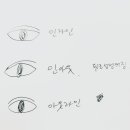 아웃라인