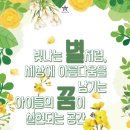 중앙태권도교육관 이미지