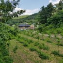 강하보건지소 네이버블로그