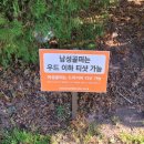 코오롱호텔 가든골프장 | [경주] 코오롱cc 호텔 가든골프장 11월 다녀온후기⛳️노캐디✨골린이🤗파3 연습장🌼자동AI카트🤖