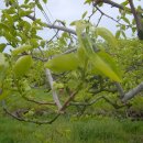 대광농장 이미지