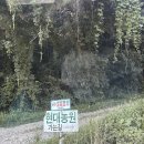 그늘막69 | 강화 계곡 &#34;현대농원&#34; | 예약 및 주차, 당일 물놀이 후기