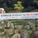 성프란치스코 희년 현수막 게첨 이미지