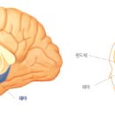 걷지 못하면 삼망(三亡)이다 이미지