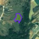 돌산읍사무소 이미지