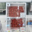 고수닭강정 | 속초 만석닭강정 비교 후기｜중앙시장 vs 본점, 어디가 더 맛있을까?