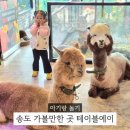 자매캣 | 아기랑 인천 송도가볼만한곳 테이블에이 앤 로우캣 실내동물원