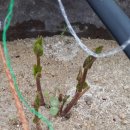 선운 농장 이미지