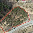 맑은개울 캠핑장 이미지