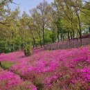 고강선사유적공원 이미지