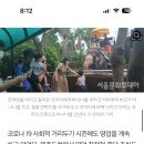 [기자의 눈] 제주도 &#39;점보 빌리지&#39; 코끼리들은 행복할까? 이미지