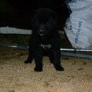 마리들농장 이미지