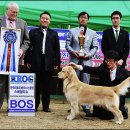 BOSS켄넬 이미지