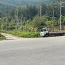 초막목장 이미지