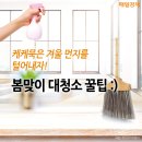 대청소