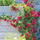 추상엽행정사무소 | 5월 | 한국도로공사 전주수목원 초록뷰 힐링여행지 가볼만한곳