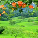 아름다운 꿈 이미지