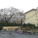 호미인문경 이미지