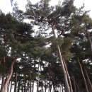 강릉고 입구(버스정류장) 이미지