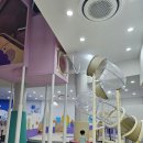 과학놀이터 | [삼척] 아이랑 실내놀이터 어린이과학놀이체험관 방문 후기/주차 및 이용요금 안내