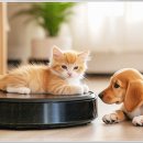 펫퍼스트 24시 강아지분양 고양이분양 이미지