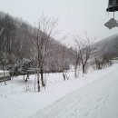 차항1리 마을회관 이미지