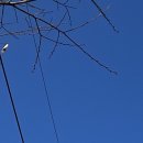 파리바게뜨 울산시청점 이미지