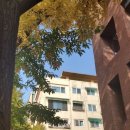 경향신문 별관 이미지