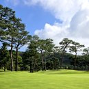파주 3.1운동 기 | 파주 회원제 골프장 서원밸리C.C 10월 초 라운딩 (조식,그늘집 가격)대회코스 후기