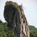 호호탕탕