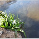 오방길(산성길) 이미지