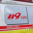 전남 영암 대불산단서 태양광 패널 보수 작업자 추락 사망 기사 이미지