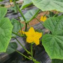 도경농장 이미지