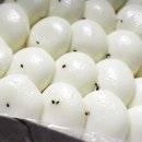 빵굽는오남매