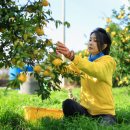 김건희농장 이미지