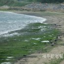 펌-리서치(주) 이미지