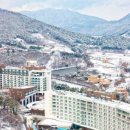 스플라스리솜 이미지