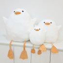 주식회사 벨라