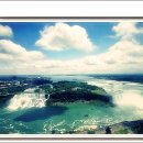 서금상사 | 시조이미지와 캐릭터가 상당히 많은 편이다~!!!