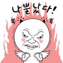 두물민박
