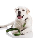 스타동물의료센터 이미지