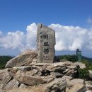 진고개약국 이미지