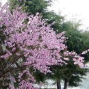 우룡산공원 이미지