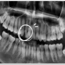 라페치과의원 이미지