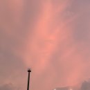 (주)홀썸 법원 구내식당 | 여름방학 법원실무수습