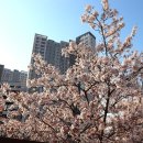 한류월드로 이미지