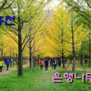 은행약수터 이미지