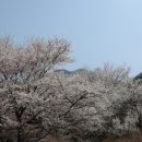문동저수지 네이버블로그